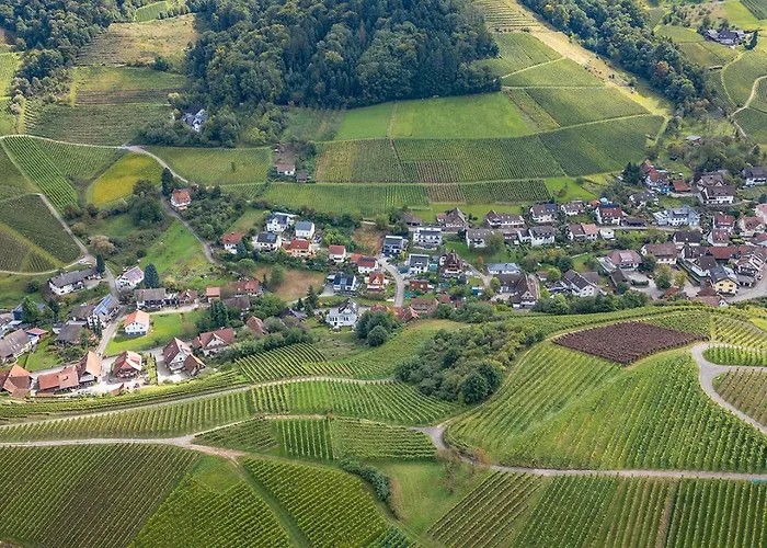 Talblick Apartamento Kappelrodeck